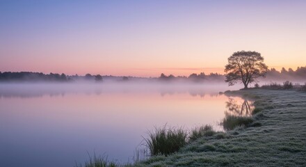 Serene Sunrise over Misty Lake with Solitary Tree and Grassy Shore