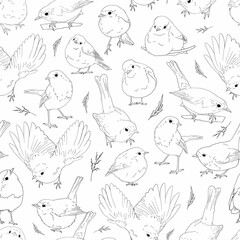 Robin birds line art seamless pattern, outline clip arts of European birds background, coloring book birds pattern