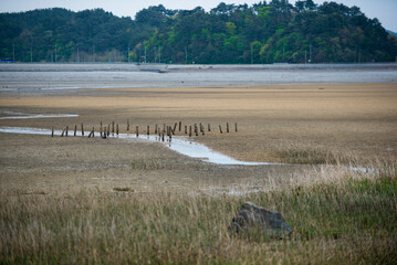 서해안의 갯벌 풍경