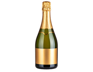 Single bottle of champagne, showcasing a golden label, is highlighted against a muted brown background. The bottle is presented in a  setting, emphasizing its features.