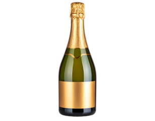 Single bottle of champagne, showcasing a golden label, is highlighted against a muted brown background. The bottle is presented in a setting, emphasizing its features.