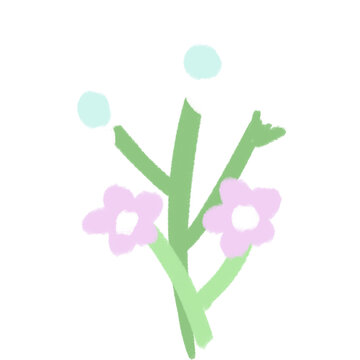 Cute minimalist white and pink flowers
