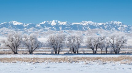 A winter landscape featuring snow-covered trees and distant snow-capped mountains