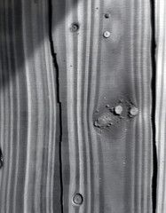 The Art of Wood, Engineered to Inspire, Crafted by Nature, Perfected by Design,