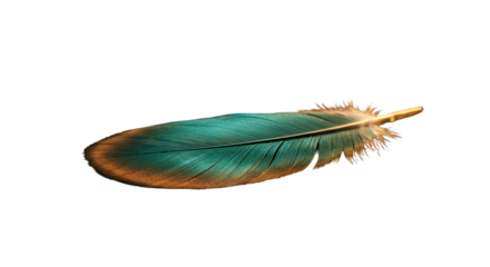 Green Feather on Transparent Background