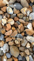 Colorful Collection of Smooth Pebbles and Stones Scattered on the Ground at a Serene Riverbank During Daylight