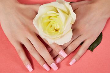 Beautiful Woman Hands. Soft skin, spa skincare concept. Female Hands Applying Cream or Lotion. Hands with pink manicure