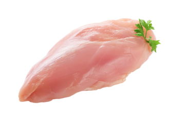 A single raw chicken breast with a sprig of parsley on a black background in a studio shot close up on transparent background