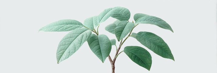 Serene botanical dance of velvety, frosty leaves unfurling whispers of ancient Eastertide tales and Arboreal Embrace Day wonders