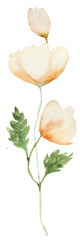 Naklejka premium Watercolor yellow wild flower with leaves isolated illustration, floral isolated wedding illustration