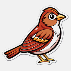 vector illustration of a bird