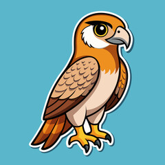 bird of prey