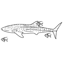ocean life illustration with whale shark