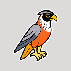 bird of prey
