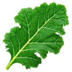 Fresh Green Leaf with Detailed Veins and Vibrant Texture for Culinary Use, isolated on transparent background.