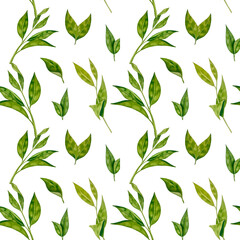 Green fresh tea leaves, cup of tea and brewing kettle, tea time set with flowers and berries of rose hip. International tea day illustration. Watercolor hand drawn isolated elements.