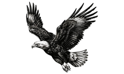 Rustic Bird Design, Vintage Wildlife Illustration, Black Sketch Effect, Detailed Eagle in Sky, Hand-drawn Engraving, Nature Print, Old Engraving Style, Classic Eagle Art, Nature Sketch Prints