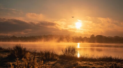 Bird Flying Over Lake