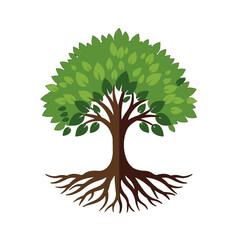 A Vibrant Tree with a Strong Trunk and Spreading Roots
