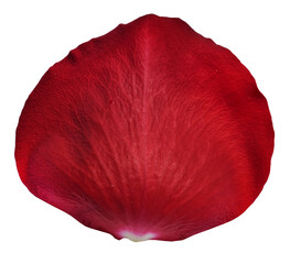 Red Rose Petal isolated on transparent background
