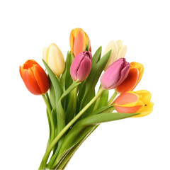 Naklejka premium A vibrant bouquet of tulips in various colors against a stark black background creating a contrast effect on transparent background