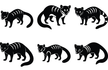 civet vector animal