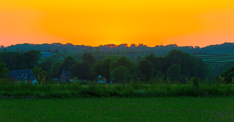 Green foliage of trees, reed and a rolling landscape at a bright sunset in springtime, Voeren, Limburg, Flanders, Belgium, May 17, 2025