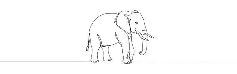 Elephant continuous one line drawing. Hand drawn animal.