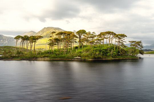 Pines Island im Derryclare Lough, Connemara, Irland