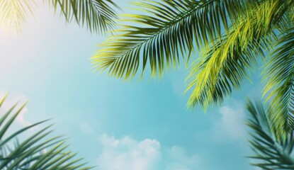 Palm trees blue sky tropical scene
