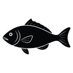 fishmonger element isolated fish fillet portion on white background 