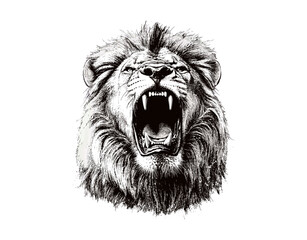 Black Sketch Lion Art, Vintage Engraved Design, Detailed Hand-drawn Illustration, Royal Wildlife Drawing, Rustic Lion with Intricate Mane