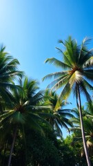 Lush tropical palm trees under a vivid blue sky