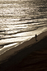 Spazierg&auml;nger am Meer