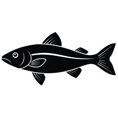 fishmonger element isolated haddock on white background 