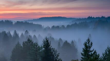 Obraz premium Misty forest at sunrise with beautiful hues over the trees and rolling hills