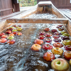 長野県飯田市　天竜峡にあるりんご足湯