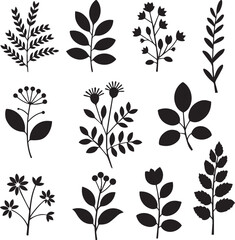 Set of black Leaf Silhouettes and Plant Designs &ndash; Flat Vector Illustration