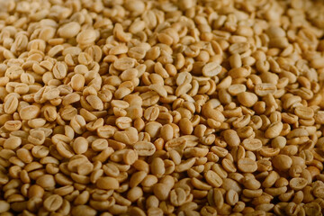 Close-up of dried unroasted coffee beans in warm natural light, showcasing texture, color, and raw organic quality

