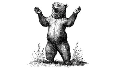 Rustic Bear Etching on Hind Legs, Vintage Animal Line Art, Monochrome Nature Sketch, Wild Mammal Drawing, Black Forest Illustration, retro engraving print,