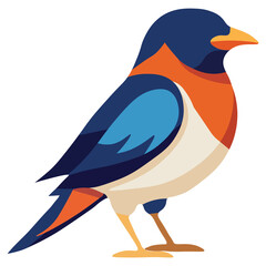 Colorful Bird Vector Illustration – Flat Style Design