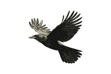 Engraving of Crow in Flight, Rustic Wildlife Etching, Hand-drawn Bird Line Art, Monochrome Ornithology Illustration, Vintage Fauna Drawing for Home Decor, Black Sketch, Trendy, Retro Design