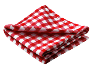 Red Gingham Napkin: A close-up shot of a folded red and white gingham pattern napkin. Displaying the timeless design of a simple cloth in sharp focus.