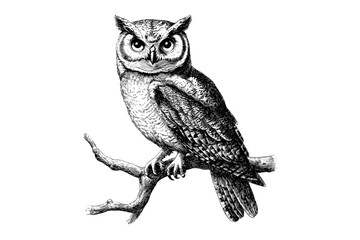 Rustic Wildlife Print, Vintage Owl Perched on Branch, Ornithology Etching, Black and White Bird Sketch, Hand-drawn Animal Illustration, Old Engraving Style, Monochrome Nature Art.