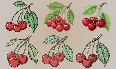 Red cherry berries with a green leaf. Fresh Red Cherries. Cherry with a vibrant green leaf and stem isolated on a background.