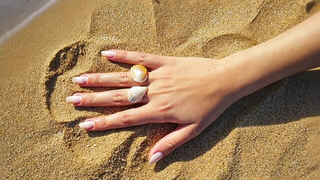 Hand with clams on the beach.