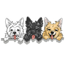 Three Happy Westie Dogs: This adorable illustration captures the essence of playful joy and unconditional love.  Three West Highland White Terrier dogs, in black and white, and tan colors.