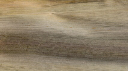 Areca palm leaf sheath background. Texture detail of gray outer inflorescence sheath of areca palm...