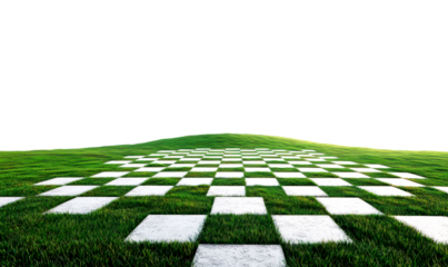 Checkerboard Pattern on Lush Green Grass Landscape Isolate on Transparent Background, cutout, png