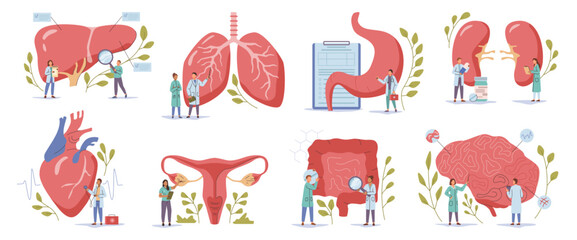 Organ examination. Vector clinical assessment of body parts function. Health care and treatment, diagnostic tests. Neurological and cardiovascular, respiratory and abdominal, hepatic and kidney system
